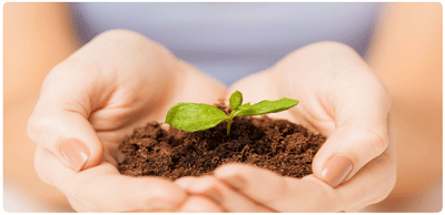 Commitment Commitment